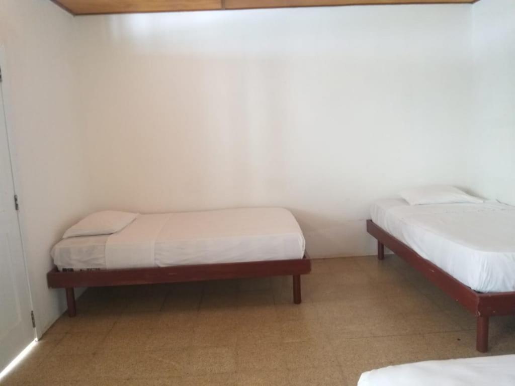 Hotel San Jacinto Dış mekan fotoğraf